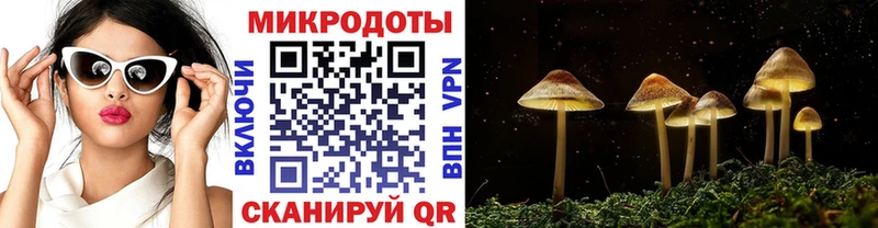 Галлюциногенные грибы Magic Shrooms  Купить закладки  Рославль 